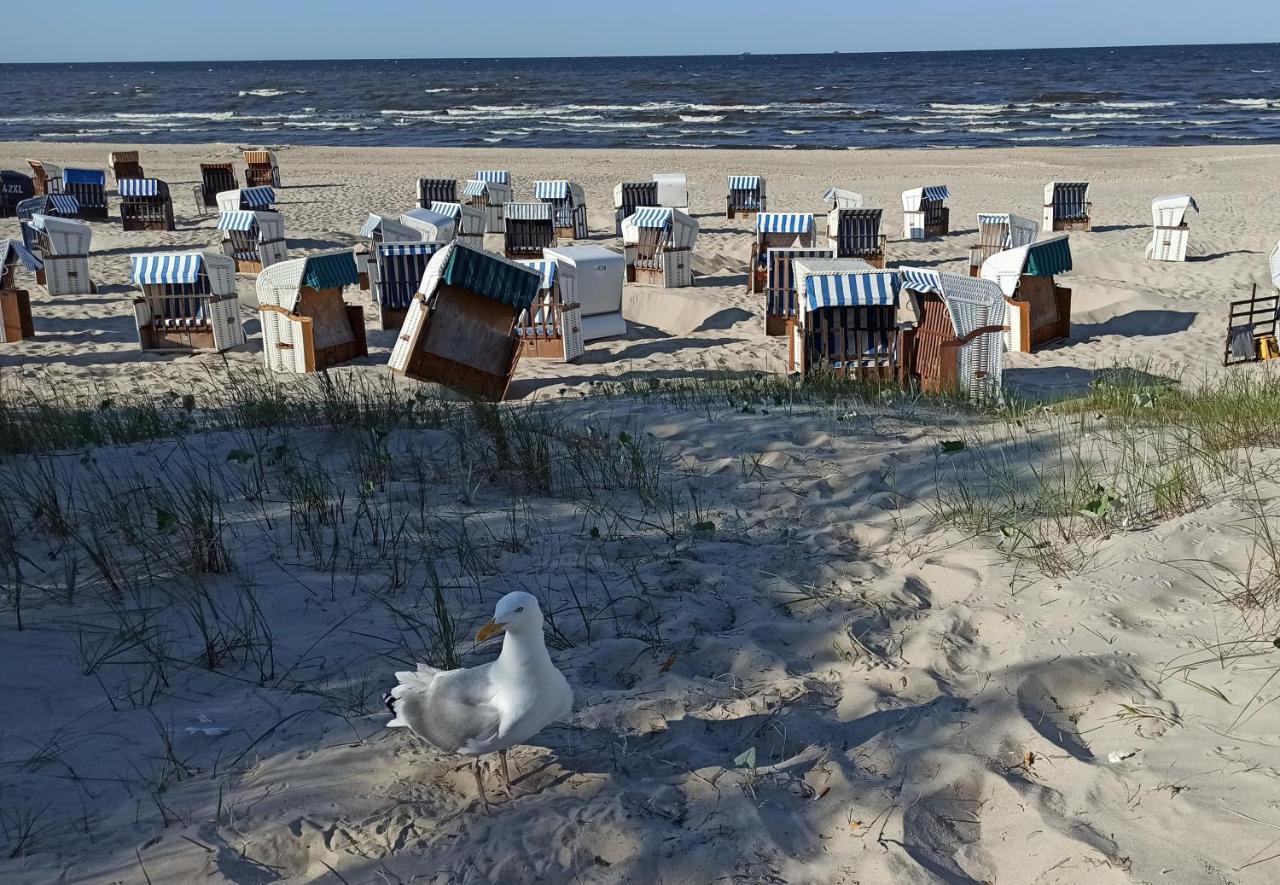 טראסנהיידה Ferienwohnung Strand25 מראה חיצוני תמונה